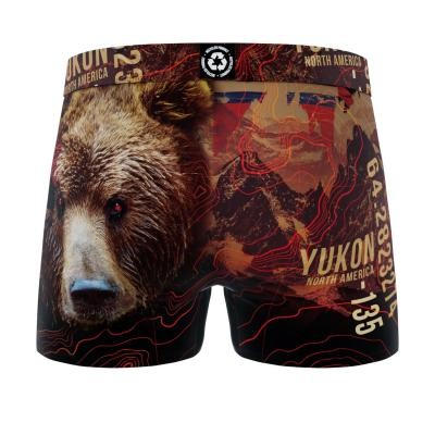 Boxer Ours Boxer Ours