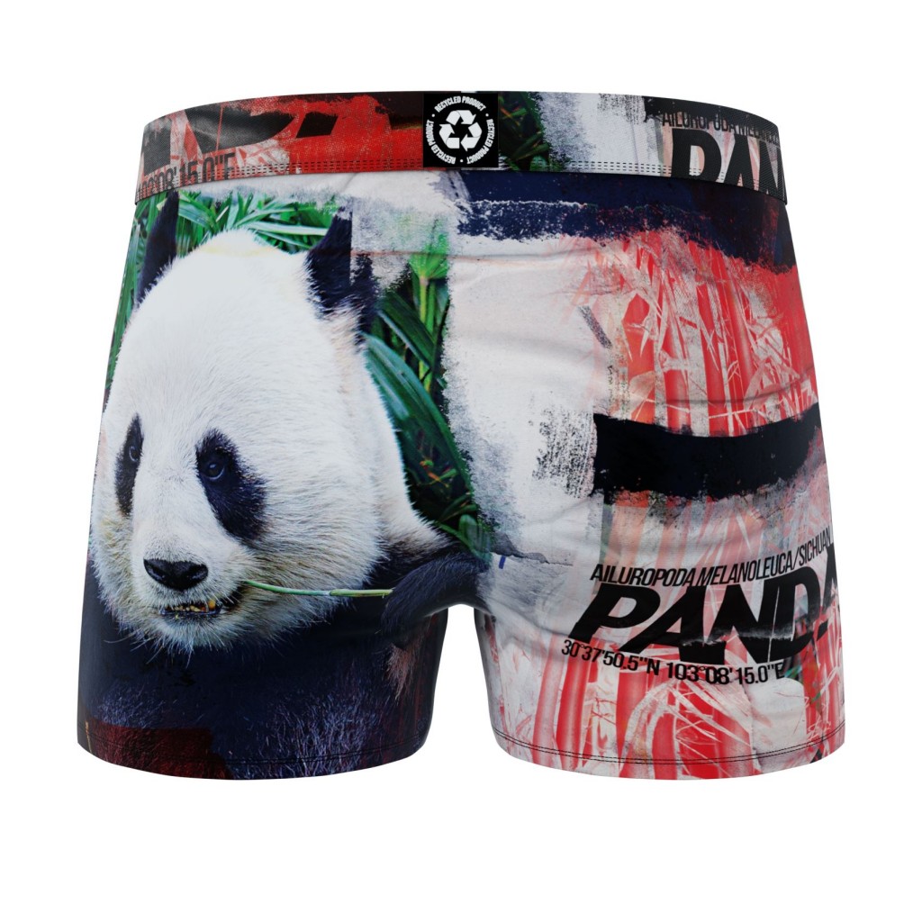 Boxer panda