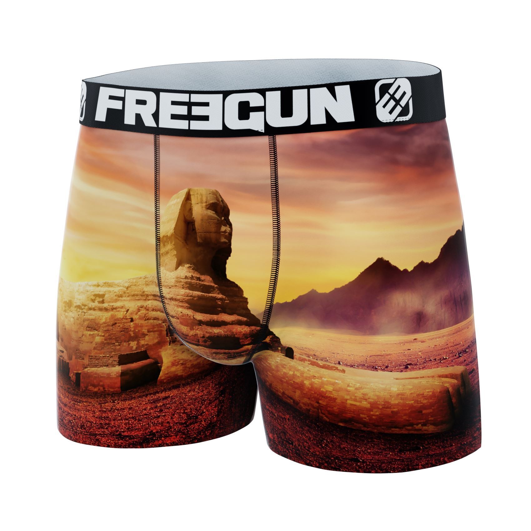 FREEGUN Boxer Microfibre Garçon Sphynx Egypte FREEGUN Boxer Microfibre Garçon Sphynx Egypte